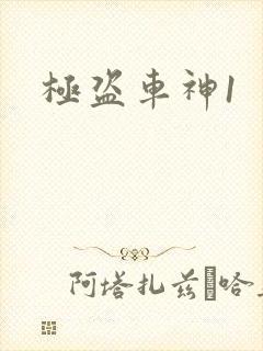 极盗车神1