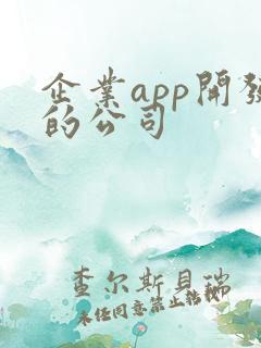 企业app开发的公司