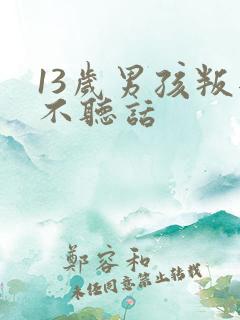 13岁男孩叛逆不听话