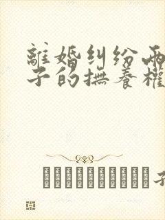离婚纠纷两个孩子的抚养权如何确定判决