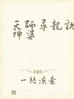 天师寻龙诀天医神婆