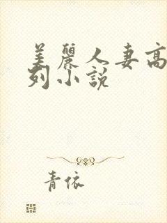 美丽人妻高h系列小说