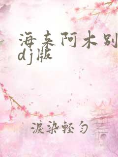 海来阿木别知己dj版