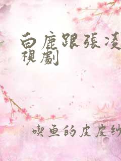 白鹿跟张凌赫电视剧