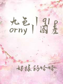 九色丨91 porny丨国产
