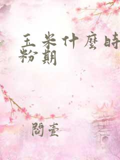 玉米什么时候授粉期