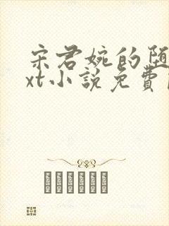 宋君婉的堕落txt小说免费阅读全文