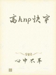 高hnp快穿