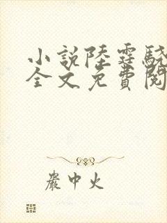 小说陆霆骁宁夕全文免费阅读