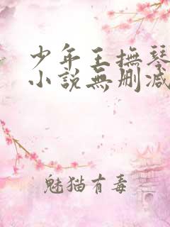 少年王抚琴的人小说无删减在线阅读
