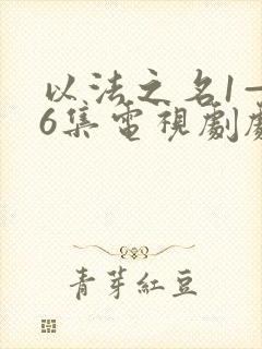 以法之名1—36集电视剧剧情