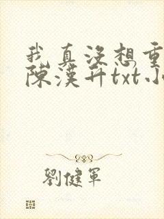 我真没想重生啊陈汉升txt小说下载