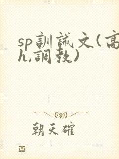 sp训诫文(高h,调教)