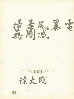 扫毒风暴电视剧无删减