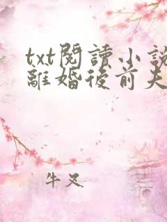 txt阅读小说离婚后前夫哭着求复婚
