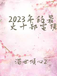 2023年的最火十部电视剧