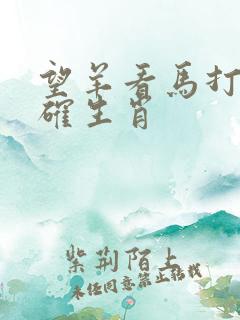 望羊看马打一准确生肖