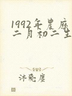 1992年农历二月初二生辰八字