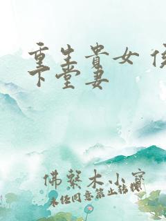 重生贵女 侯府下堂妻