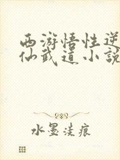 西游悟性逆天人仙武道小说
