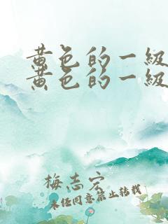 黄色的一级片,黄色的一级片