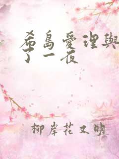 希岛爱理与公做了一夜