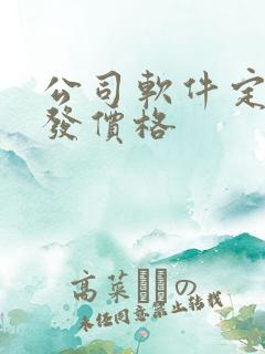 公司软件定制开发价格