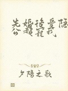 先婚后爱隐婚老公超宠我