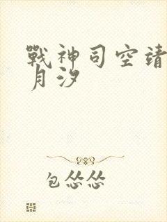 战神司空靖和苏月汐