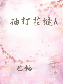 抽打花缝h