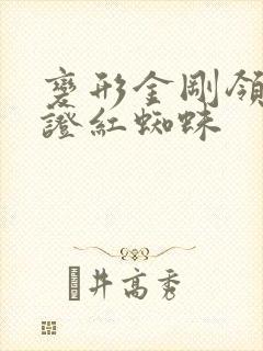 变形金刚领袖之证红蜘蛛