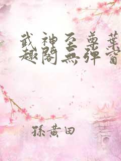 武神至尊叶风笔趣阁无弹窗