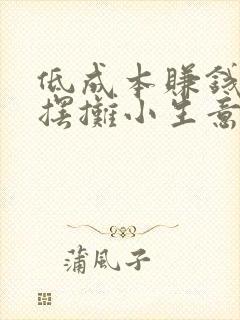 低成本赚钱快的摆摊小生意