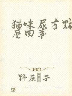 猫咪尿有点黄怎么回事