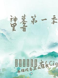 神墓第一季在哪里看