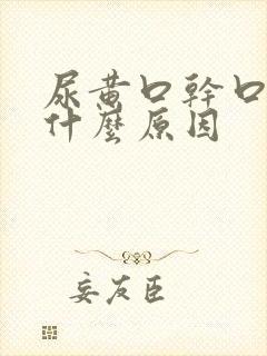 尿黄口干口苦是什么原因