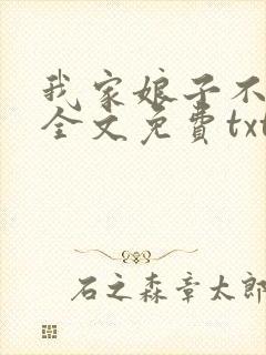 我家娘子不对劲全文免费txt下载