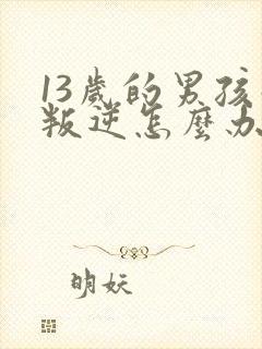 13岁的男孩子叛逆怎么办