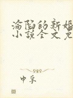 沦陷的新婚少妇小说全文免费