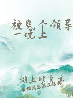 被几个领导玩弄一晚上