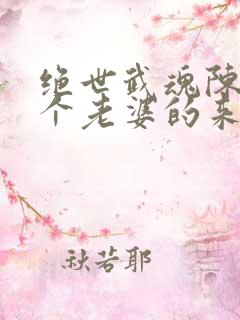 绝世武魂陈枫6个老婆的来历