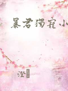 暴君独宠小俏后