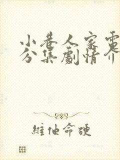 小巷人家电视剧分集剧情介绍