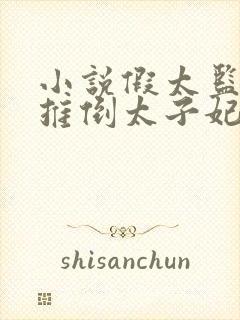 小说假太监:从推倒太子妃开始李显无弹窗