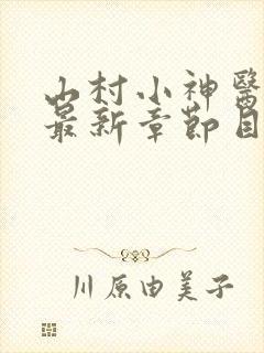 山村小神医陆凡最新章节目录