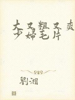 大又粗又爽又黄少妇毛片
