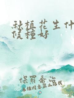 秋植花生什么时候种好