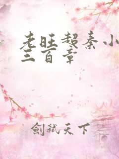 老旺超秦小雨第三百章