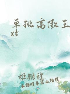 单挑高傲王子txt