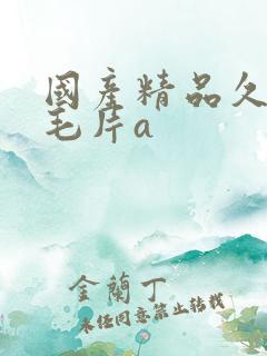 国产精品久久久毛片a